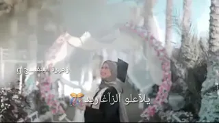 يلا وعلو الزغاريد  حالات واتس أب عن النجاح  دندنها