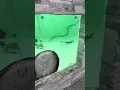 Giant Snake in my Fish Tank