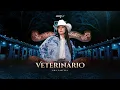 Download Lagu Ana Castela - Veterinário (DVD Herança Boiadeira)