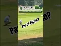 Download Lagu Hoe zou jij reageren? #golf #clubkampioenschap #balboapark