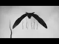 flica - Listener (Official Music Video)