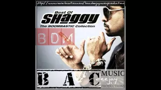 Download Shaggy-Mr Boombastic Breakbeat version (BDM 121 PRO) MP3