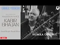 Download Lagu Kabir Bhajan - Humka Odhave by Ustad Shujaat Husain Khan