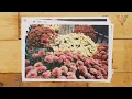 Golden Features - Wolfie (feat. Julia Stone) | Music Video