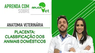 Anatomia Veterinária - Placenta - Classificação nos Animais Domésticos