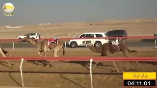 الشوط 12 المفدع لـ خلفان بخيت المنصوري شارة الإتحاد 2018 12 6 سويحان لقايا 