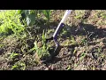 Gardening Club Censored on Facebook for Using the Term Hoe