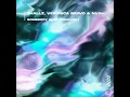 Download Lagu Ehallz \u0026 Nvsh - Somebody Else (Feat. Veronica Bravo) (SadBois Remix) (Video Release)