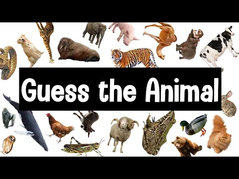 Download MP3 Guess the Animal Sound Game | 30 Animal Sounds Quiz | Wildlife Trivia