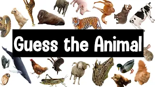 Download Guess the Animal Sound Game | 30 Animal Sounds Quiz | Wildlife Trivia MP3