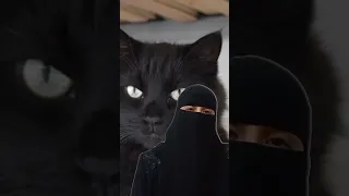 معلومات عن القطط السوداء هل يتمثل الجن فى صورتها Black Cats 