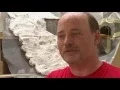SWR Film 1