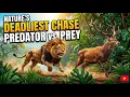 Nature s Deadliest Chase Predator vs Prey Nature s Ultimate Survival Battle