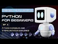 Python Variables String Methods EXPLAINED Python for Beginners Full Tutorial Series Ep 3