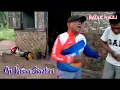 Download Lagu Sitara Tilo tilo || Op Jhosua Sianturi Feat Pangampas Trio ||Cover