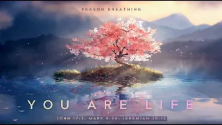 you are life lyrics in description