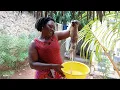 Download Lagu COOKING MOST POPULAR AFRICAN FOOD