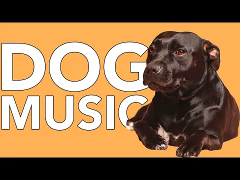 Download MP3 A DAY of Relaxing Music for Dogs! EXTRA-LONG 24 Hour Calming Dog Songs!