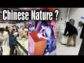 Lagu What is Chinese Nature?