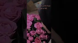ببرك يامنى عمري     إليه الكون اوصاني   دندنها