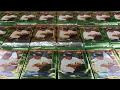 SEACHING FOR REFRACTORS IN A SEA OF 1994 TOPPS FINEST