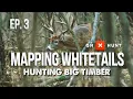 HOW TO HUNT BIG WOODS BUCKS - Mapping Whitetails