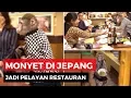 Download Lagu Monyet Pintar Jadi Pelayan Restoran di Jepang