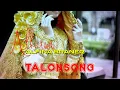 Download Lagu Alkawi ft Alfina Braner - new TALONGSONG || Cipt : Alkawi ( Official Music Video )