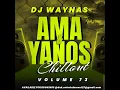 Download Lagu DJ WAYNAS - AMA YANO'S CHILLOUT - VOL.73