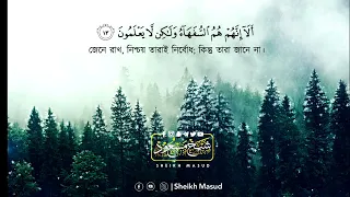 part of surat baqarah sheikh masud heart soothing quran 