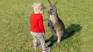 Adorable Animals Meeting Babies For The First Time Went Better Than Dreamed! ❤️