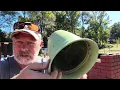 Can You Grow an Orange Tree from Cuttings? Step-by-Step Experiment!”