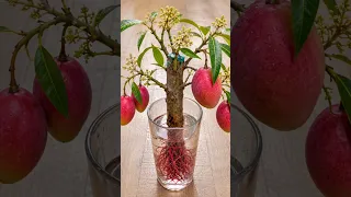 #Mita'SGardeningTricks #Gardening #Garden #Agriculture