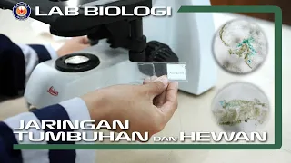 Download Praktikum Mengenal Jaringan Tumbuhan dan Hewan | Biologi Umum | UPT Laboratorium Terpadu UHO MP3