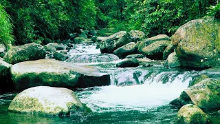 Need Sleep Try Waterfall Stream Sounds for Instant Relaxation