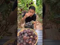 Download Lagu Anjeer fruit plants🌱 #shorts #fruit #shortsfeed