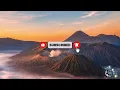 I SURRENDER | Hillsong Worship | Female Cover | Cax worship