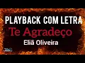 Download Lagu te agradeço [ playback ] Eliã Oliveira