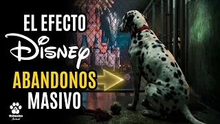 ¿Por qué Disney causó 60 años de ABANDONOS? El Secreto del Dálmata