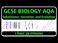 GCSE Biology AQA - Inheritance Variation and Evolution Topic Paper 2