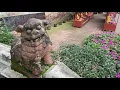 Emei Mountain Pilgrimage, Walking Step by Step| 峨眉山朝圣，一步一脚印