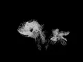 Alina Baraz - Floating [filous Remix]