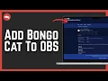 How To Add Bongo Cat To OBS 2026