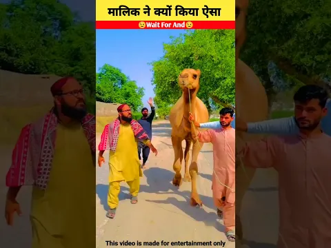 मालिक ने ऐसा क्यों किया🤔~#shorts #amazingfacts
