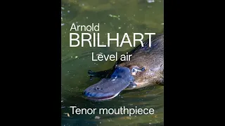 Brilhart Level air mouthpiece looks like a platypus