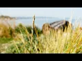 Download Lagu Relaxing Music - 1 Hour Chill Mix from Monstercat