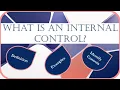 An Introduction to Internal Controls CIA CPA Audit Business