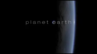 BBC Planet Earth 10of11 Seasonal Forests DVB XviD MP3 www group org