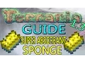 Terraria 1 3 Guide SUPER ABSORBENT SPONGE SOAKS UP FOREVER