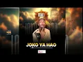 Lagu Dr Nel - Joko Ya Hao (Official Audio)